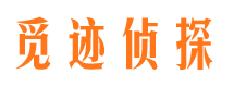 龙井出轨调查